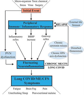 Molecular Mechanisms of Neuroinflammation in ME/CFS and Long COVID to Sustain Disease and Promote Relapses